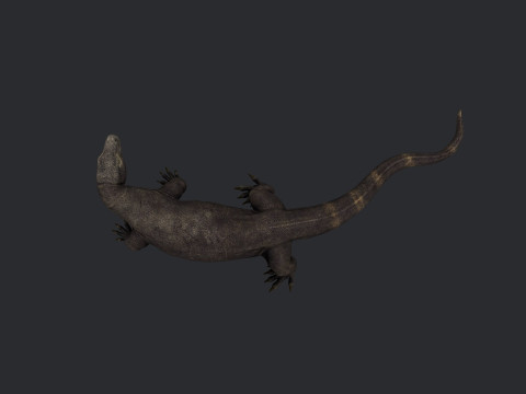 Komodo Dragon Ready to Print Modello di stampa 3D