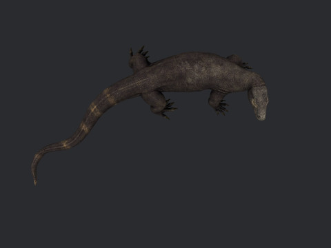 Komodo Dragon Ready to Print Modello di stampa 3D