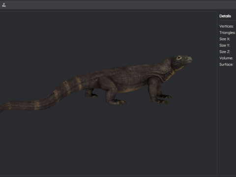 Komodo Dragon Ready to Print Modello di stampa 3D