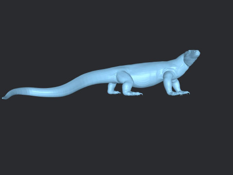 Komodo Dragon Ready to Print Modello di stampa 3D