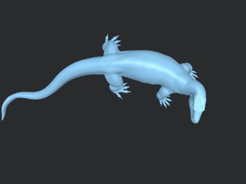 Komodo Dragon Ready to Print Modello di stampa 3D