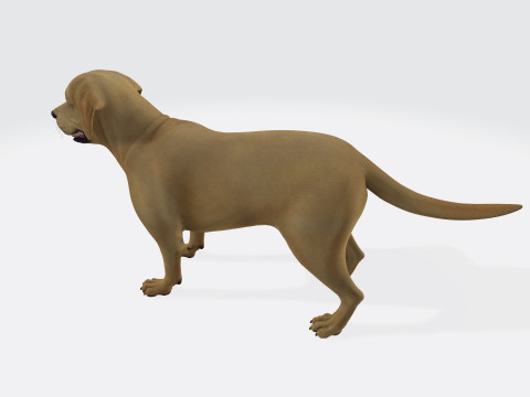Labrador Retriever Dog Ready to Print Modèles 3D en vedette
