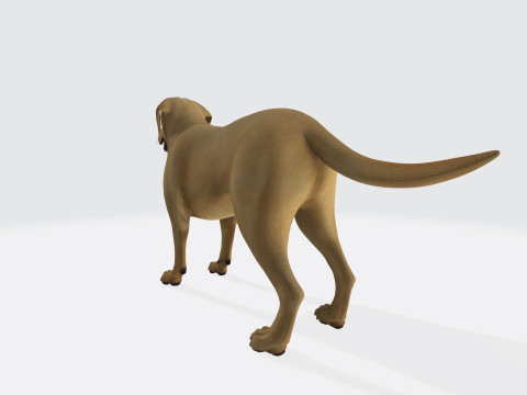Labrador Retriever Dog Ready to Print Modèles 3D en vedette