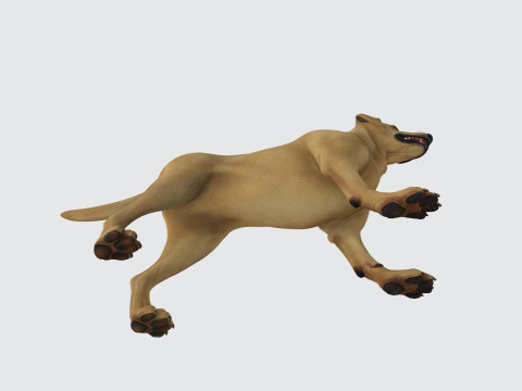 Labrador Retriever Dog Ready to Print Modèles 3D en vedette