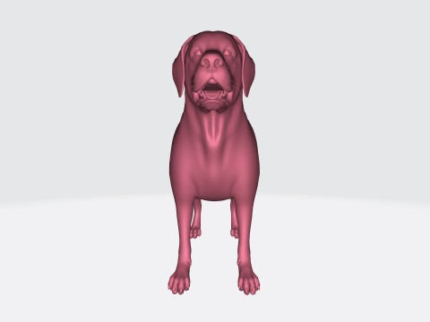 Labrador Retriever Dog Ready to Print Modèles 3D en vedette