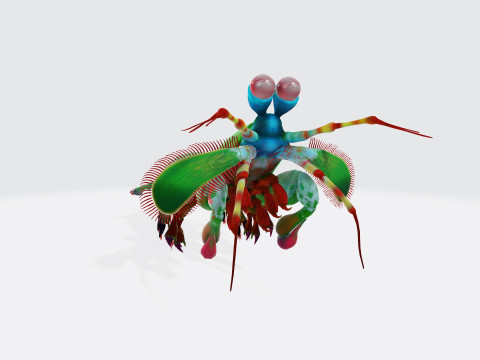 Mantis Shrimp Ready to Print 3D Print Model