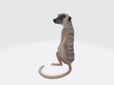 Meerkat Ready to Print 3D 프린트 모델