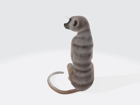 Meerkat Ready to Print 3D 프린트 모델