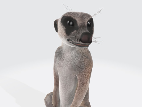 Meerkat Ready to Print 3D 프린트 모델