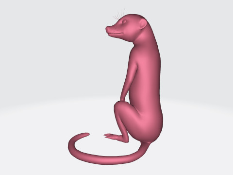 Meerkat Ready to Print 3D 프린트 모델