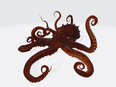 Octopus Ready to Print 3D प्रिंट मॉडल