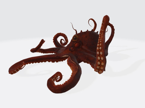 Octopus Ready to Print 3D प्रिंट मॉडल