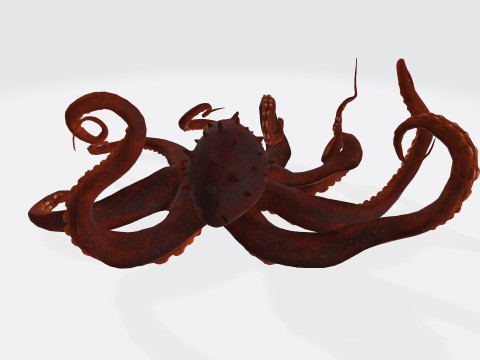 Octopus Ready to Print 3D प्रिंट मॉडल