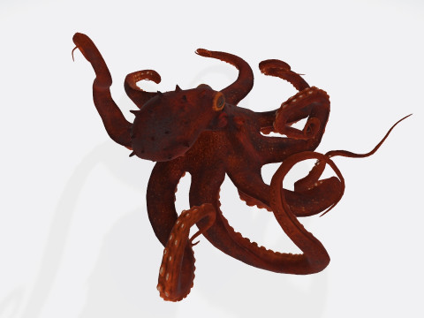 Octopus Ready to Print 3D प्रिंट मॉडल
