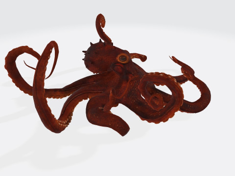Octopus Ready to Print 3D प्रिंट मॉडल