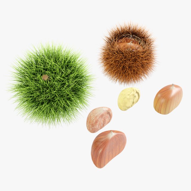 Chestnuts 3D 모델 .c4d .max .obj .3ds .fbx .stl .blend 