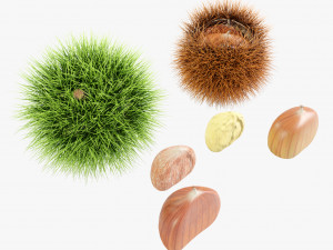 Chestnuts 3D Модель