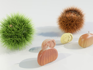 Chestnuts 3D 모델