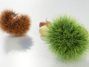 Chestnuts 3D 모델
