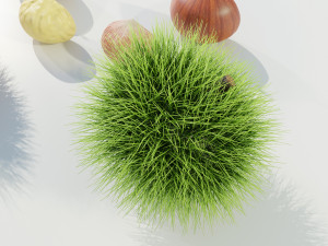 Chestnuts 3D 모델