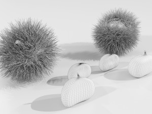 Chestnuts 3D 모델