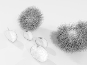 Chestnuts 3D 모델
