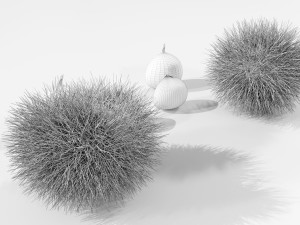 Chestnuts 3D 모델