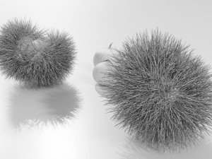Chestnuts 3D 모델
