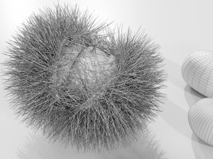 Chestnuts 3D 모델