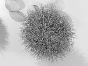Chestnuts 3D 모델