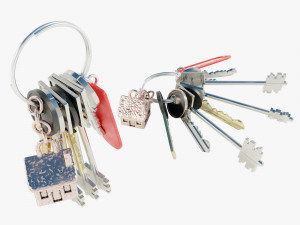 Bunch of Keys 3D Model