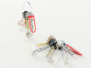Bunch of Keys 3D Модель