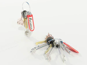 Bunch of Keys 3D Model
