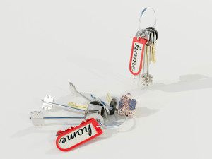Bunch of Keys 3D Модель
