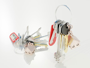 Bunch of Keys 3D Модель
