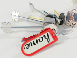 Bunch of Keys 3D Model