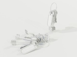 Bunch of Keys 3D Модель