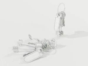 Bunch of Keys 3D Model