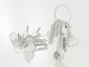Bunch of Keys 3D Модель