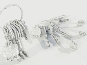Bunch of Keys 3D Модель