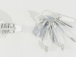 Bunch of Keys 3D Модель