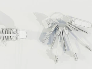 Bunch of Keys 3D Model