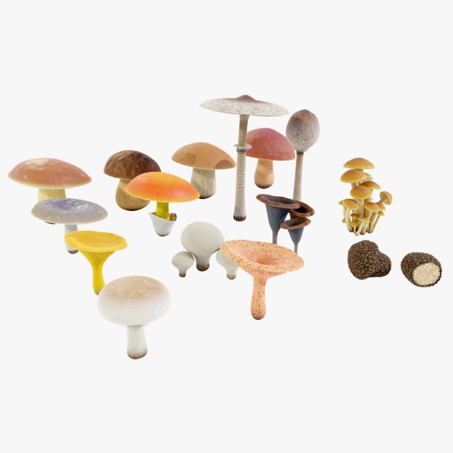 Mushrooms Collection 3Dモデル .c4d .max .obj .3ds .fbx .stl .blend 