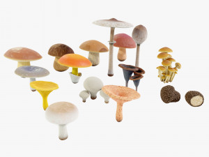 Mushrooms Collection Modèle 3D