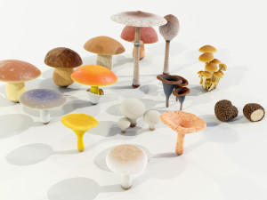 Mushrooms Collection 3Dモデル