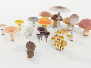 Mushrooms Collection 3Dモデル