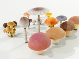 Mushrooms Collection 3D Model