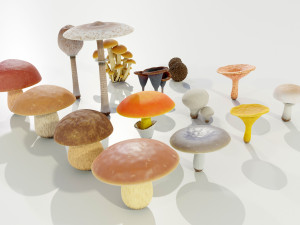 Mushrooms Collection 3Dモデル