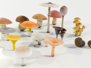 Mushrooms Collection 3Dモデル