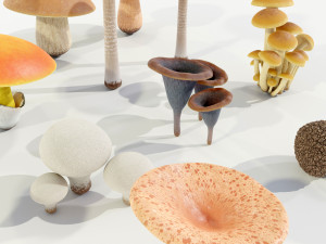 Mushrooms Collection 3Dモデル